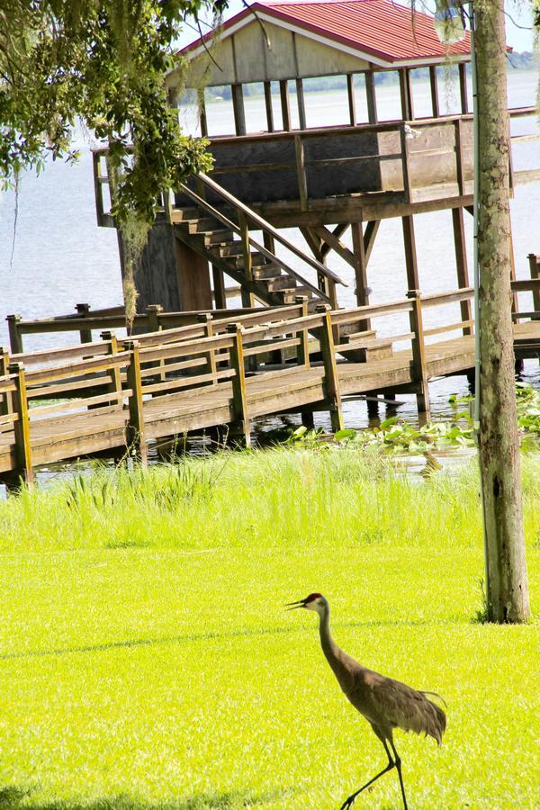 Bellacosa Lakeside Lodge Lake Wales Esterno foto