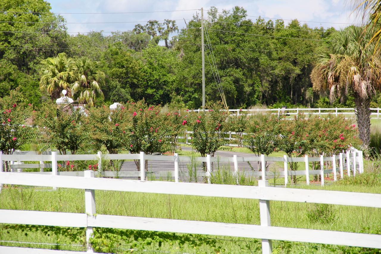 Bellacosa Lakeside Lodge Lake Wales Esterno foto