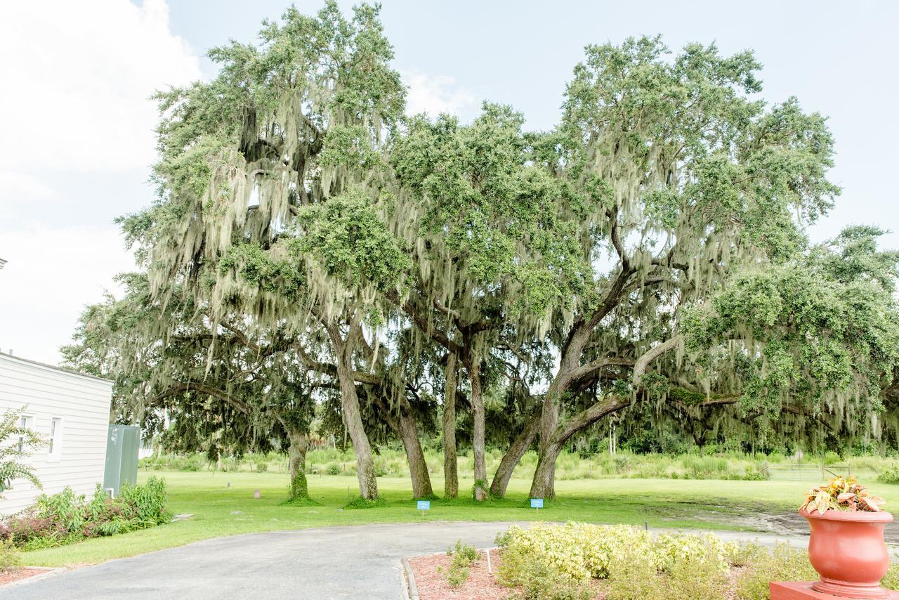 Bellacosa Lakeside Lodge Lake Wales Camera foto